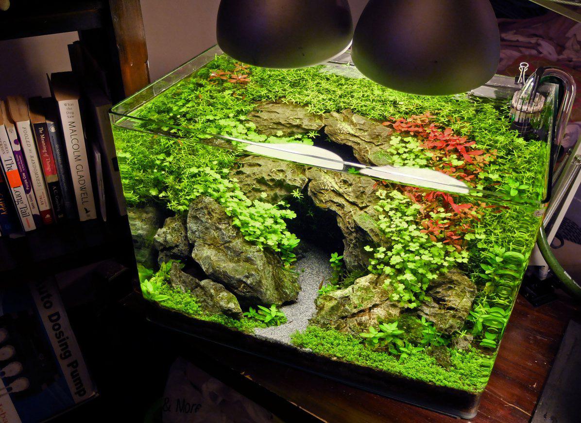 Top view of small home aquarium lit by 2 IKEA desk lamps