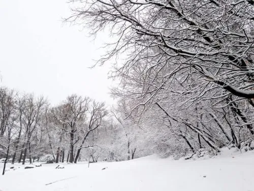 Winter hiking through snowy woods in one of the best places to visit in ct during winter vacation getaways