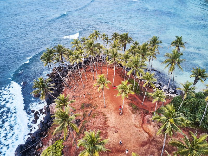 Coconut Tree Hill - Mirissa Beach 