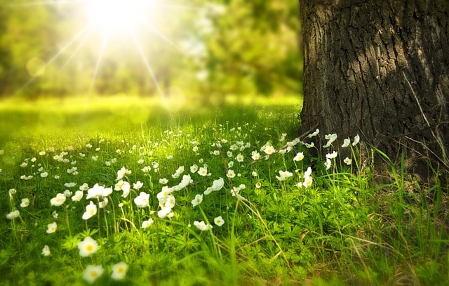 Earthing outdoors or indoors - both work!