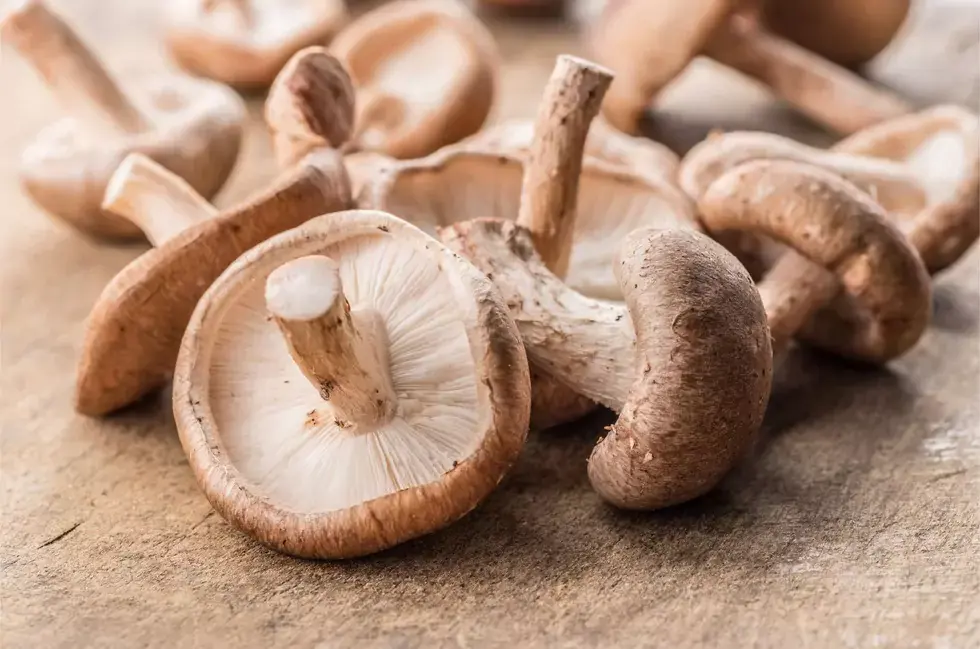 Shiitake Mushrooms contain compounds like lentinan, which support the immune system.