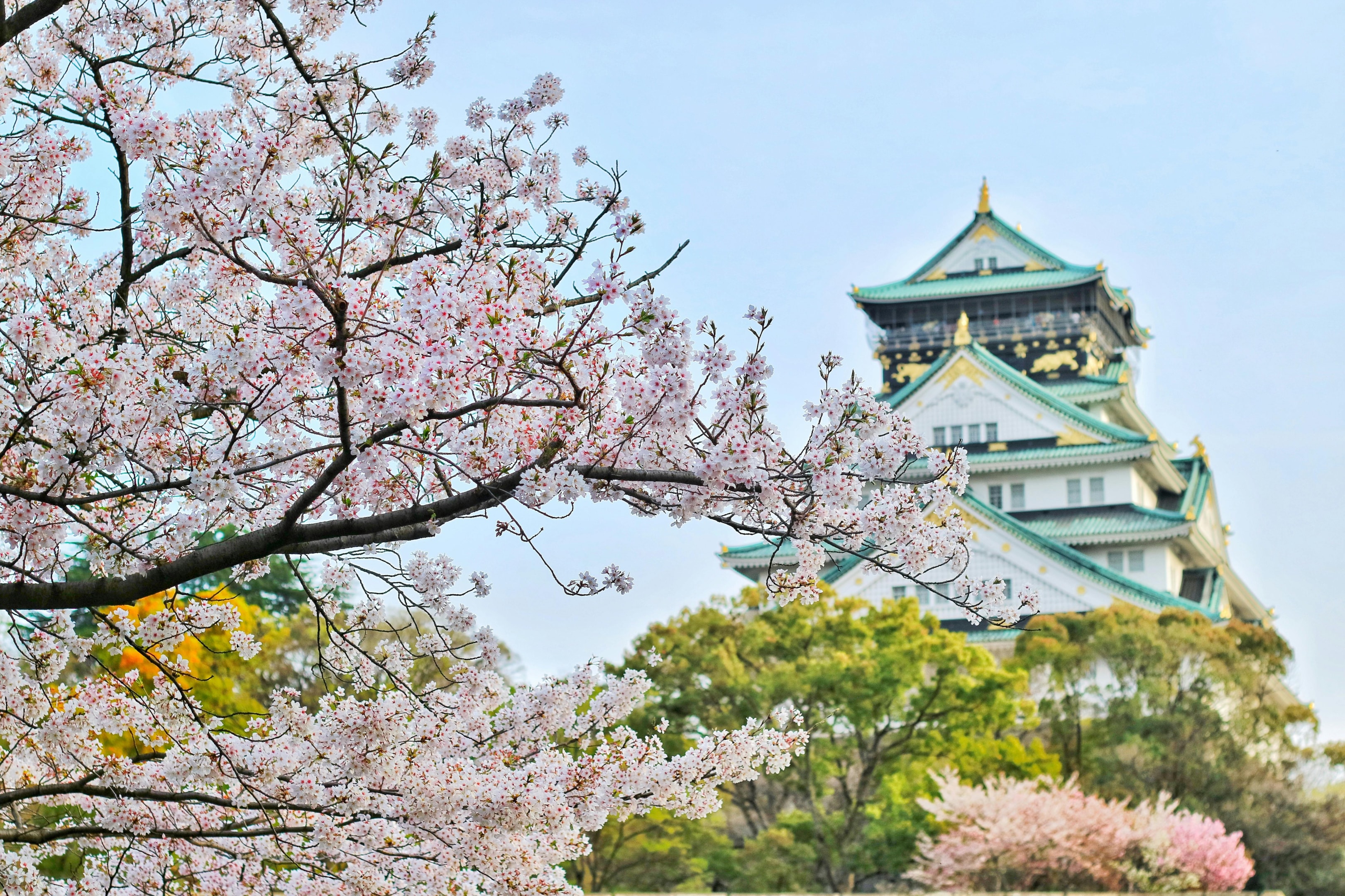 Sample Itinerary for a 14-Day Family Holiday in Japan