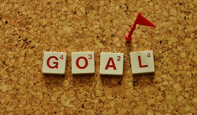 goal, arrive, to achieve, set personal development goals, growth mindset, personal development goal, personal development plan, self improvement goals