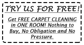 Up to 150 sq. ft. Valid for new homeowner clients that order a clean account. Must have coupon at cleaning.