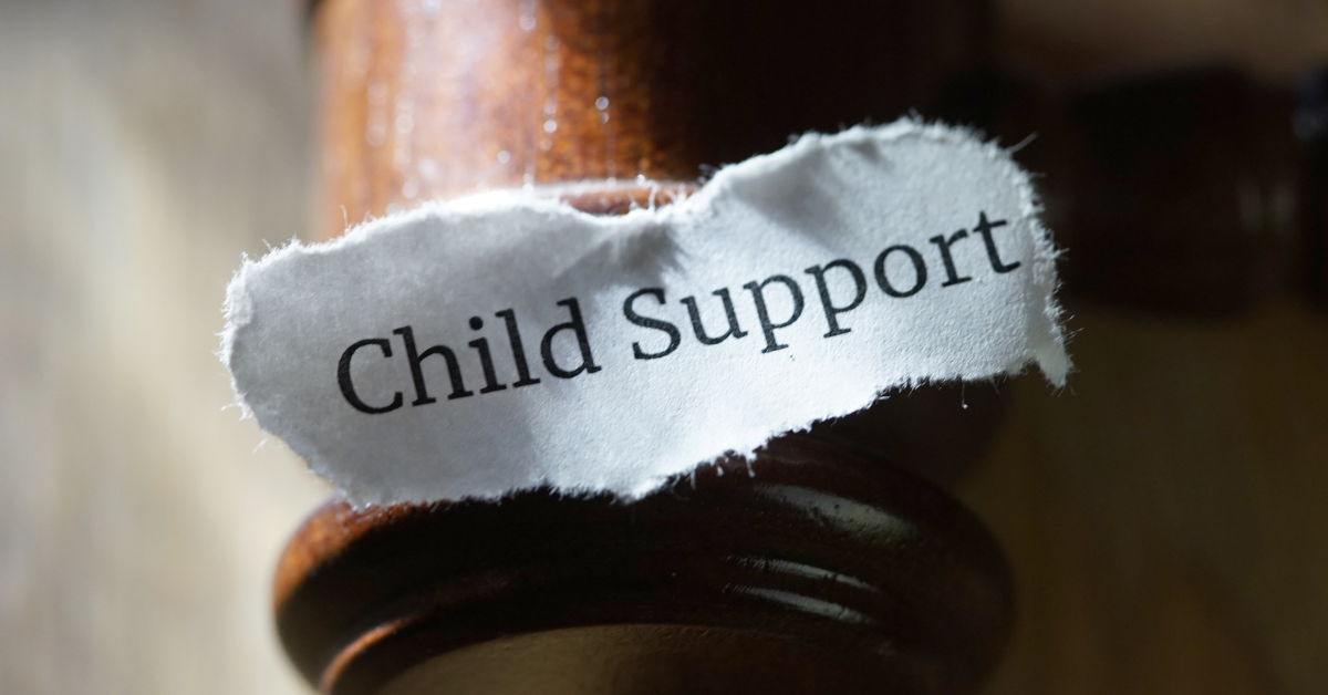 Image illustrating the impact of child support and domestic support obligations in Chapter 13 bankruptcy.