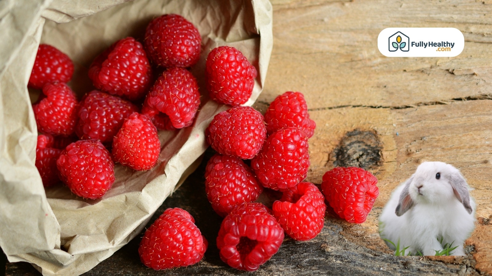 Raspberries spilling from paper bag with cute white bunny beside