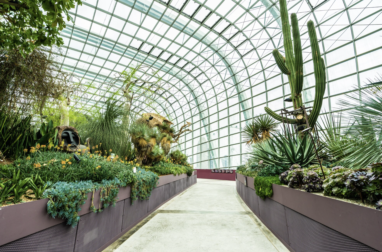 Flower dome garden 