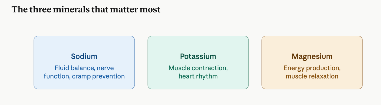 Hidration during long rides for optimal performance: Three minerals that matter most