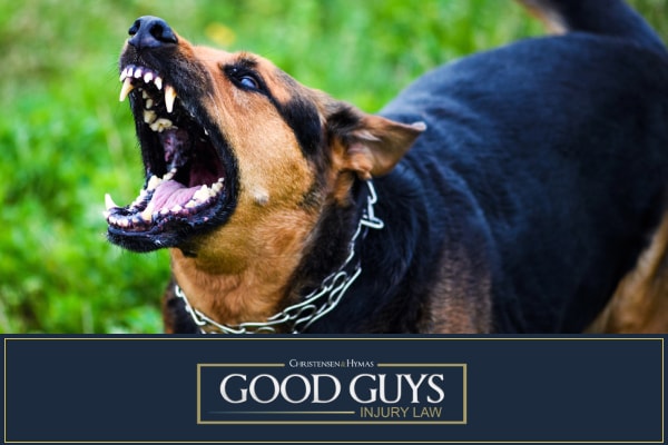 Utah Dog Bite Laws That Protect Delivery Drivers