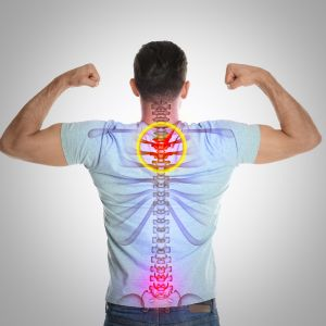 picture of where to fix spinal misalignment with chiropractic treatments