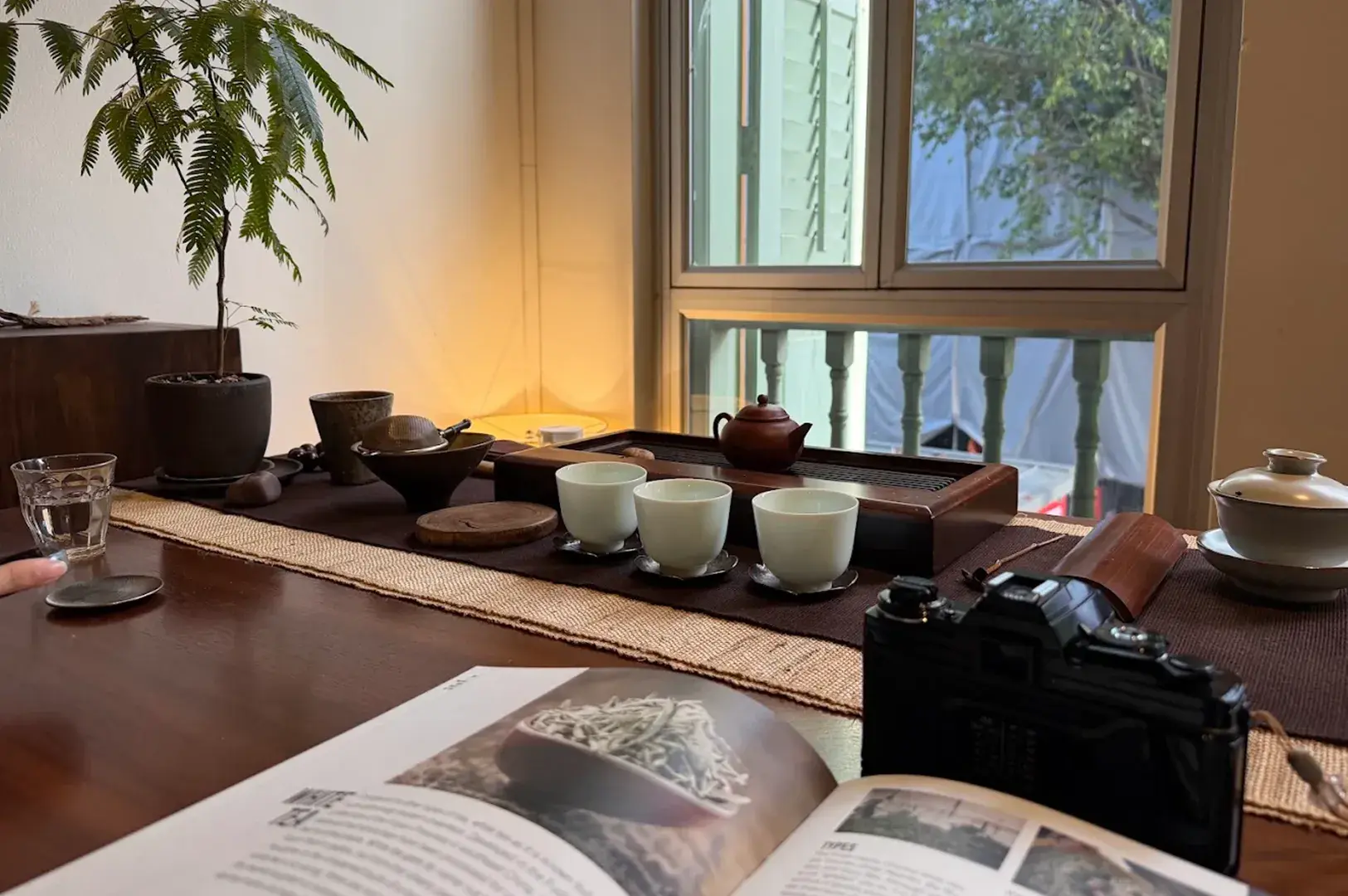 Traditional tea set with small ceramic cups, teapot, open book, and vintage camera by a sunny window.