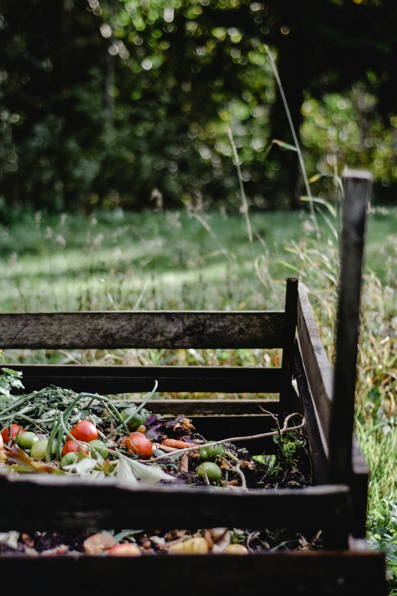 A compost pile with various organic materials showing the composting process. A compost pile with various organic materials showing the composting process.