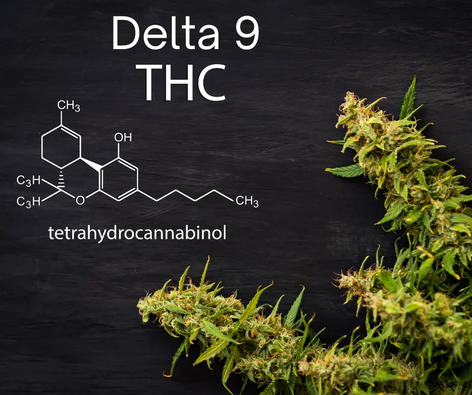 delta 9 thc and thc affects