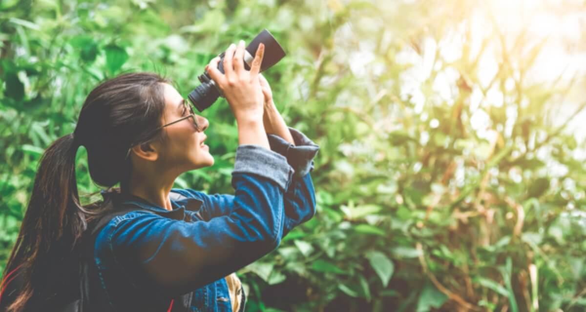 Exploring The Night Sky The Advantages And Disadvantages Of Telescope