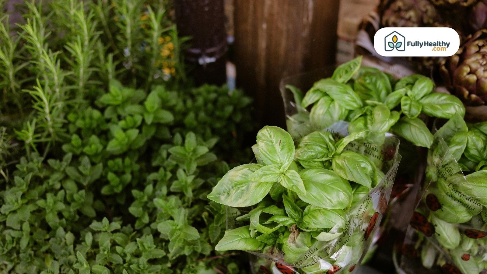 Packaged basil and fresh herbs displayed at a market or shop