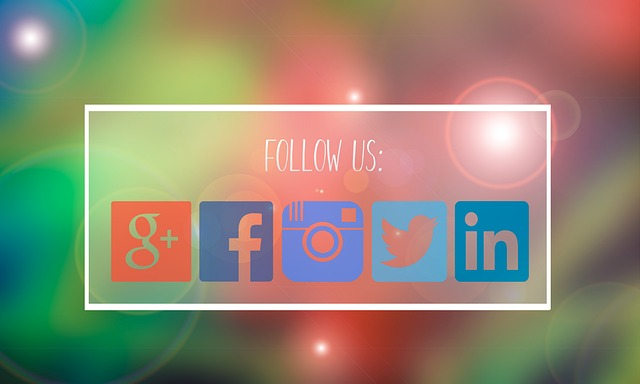 follow us, facebook, google plus