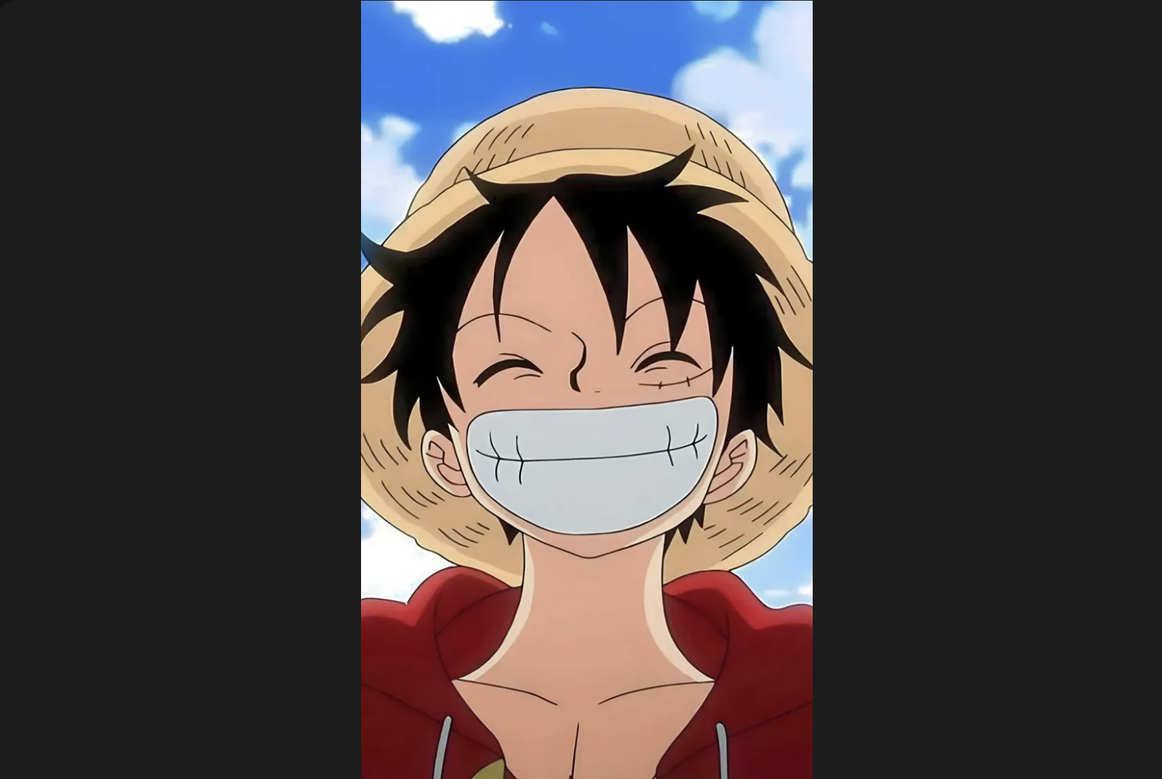 luffy portrait wallpaper