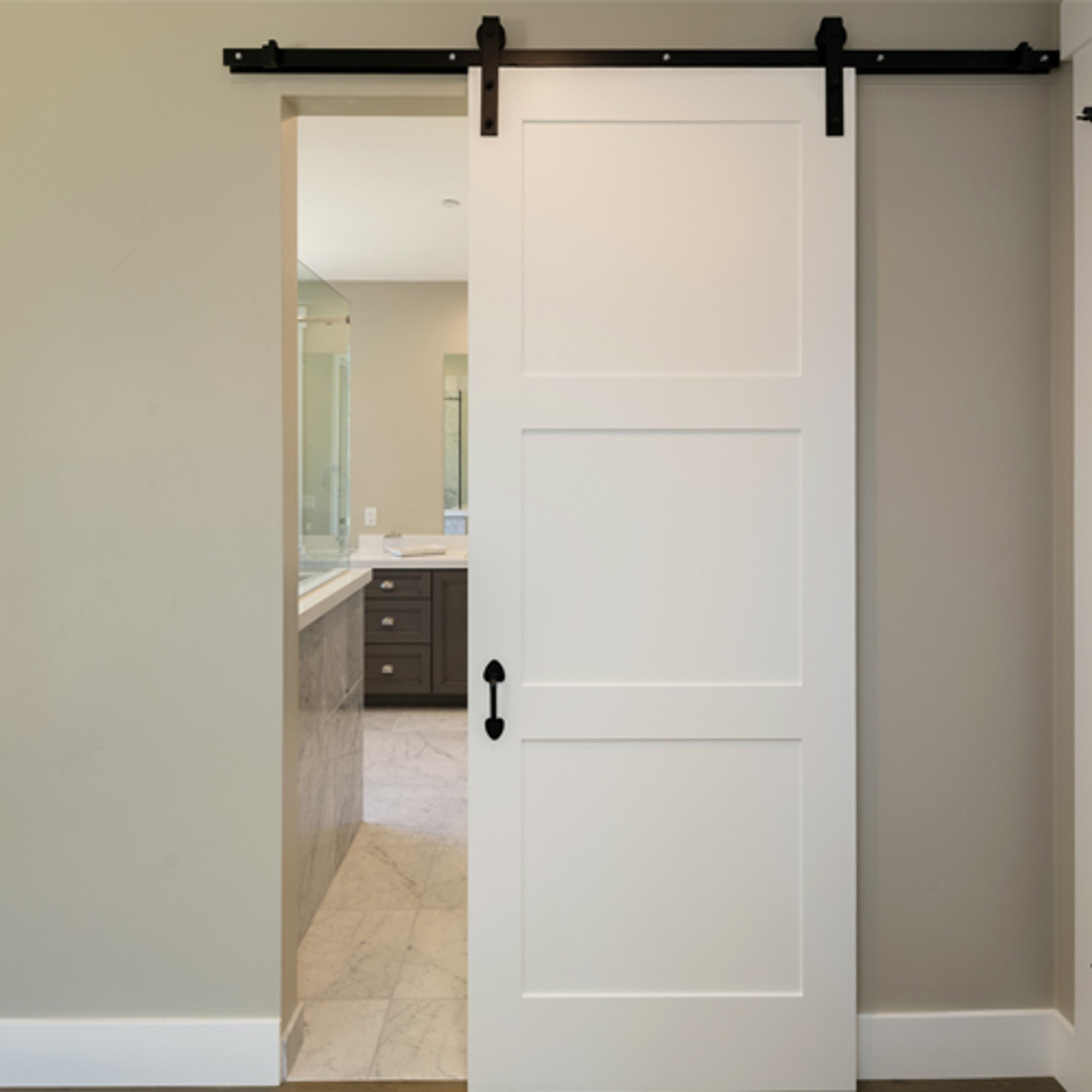 Interior Barn Door