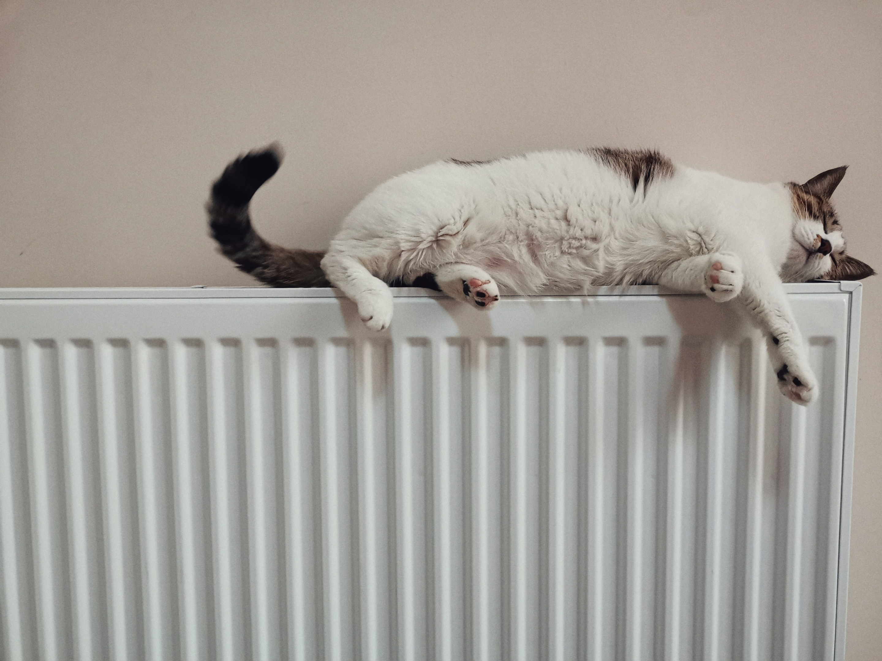 Energy efficient electric central heating radiator 