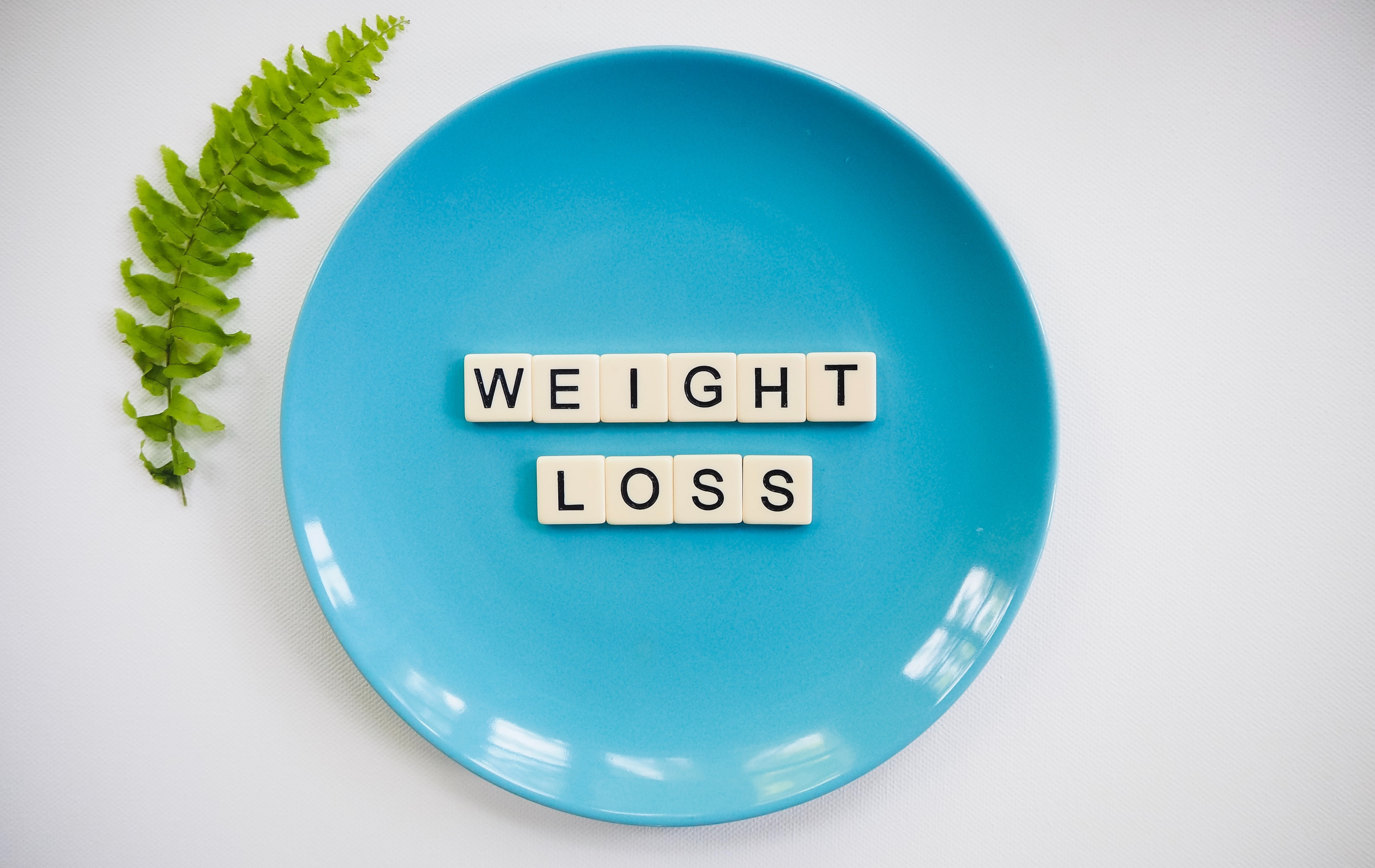 Weight Loss Blogs