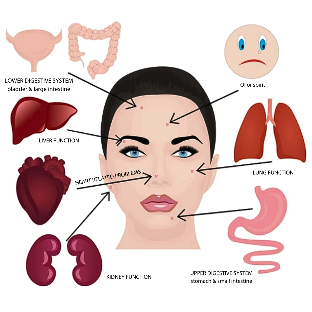 Face Mapping with Seaflora