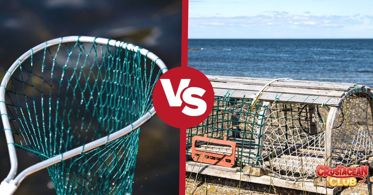 A comparison of bully nets vs traditional traps