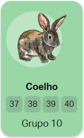 coelho no jogo do bicho