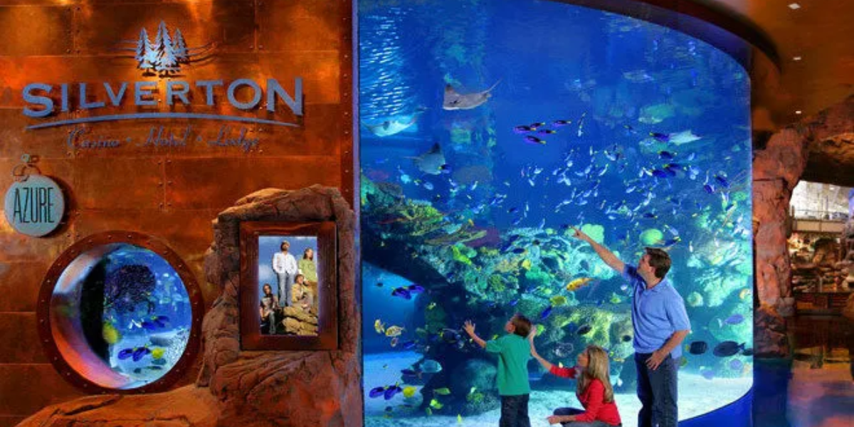 The Silverton Casino Saltwater Aquarium