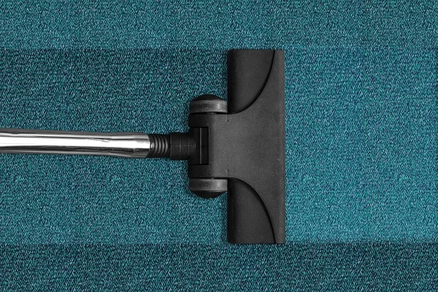 vaccum cleaner leaving clean trail on blue rug.