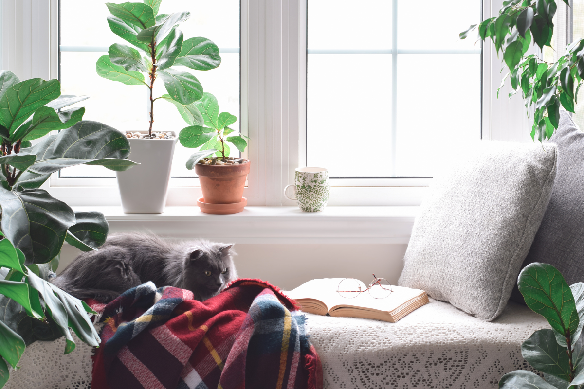 A cozy reading nook with floating shelves and comfortable furniture.