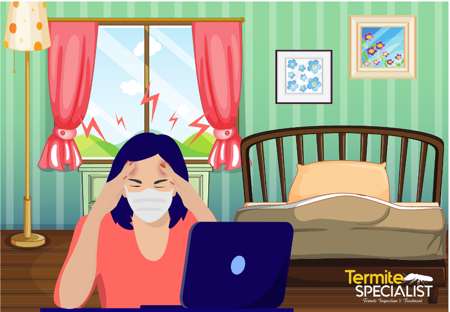 Reduce stress over termite damage and repairs with a termite specialist