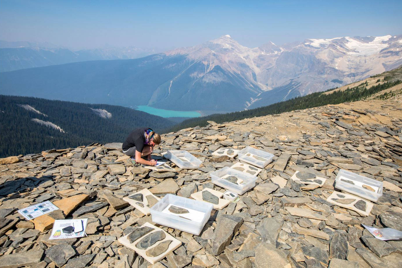 Nearby national parks include Banff National Park and Banff's Lake Louise