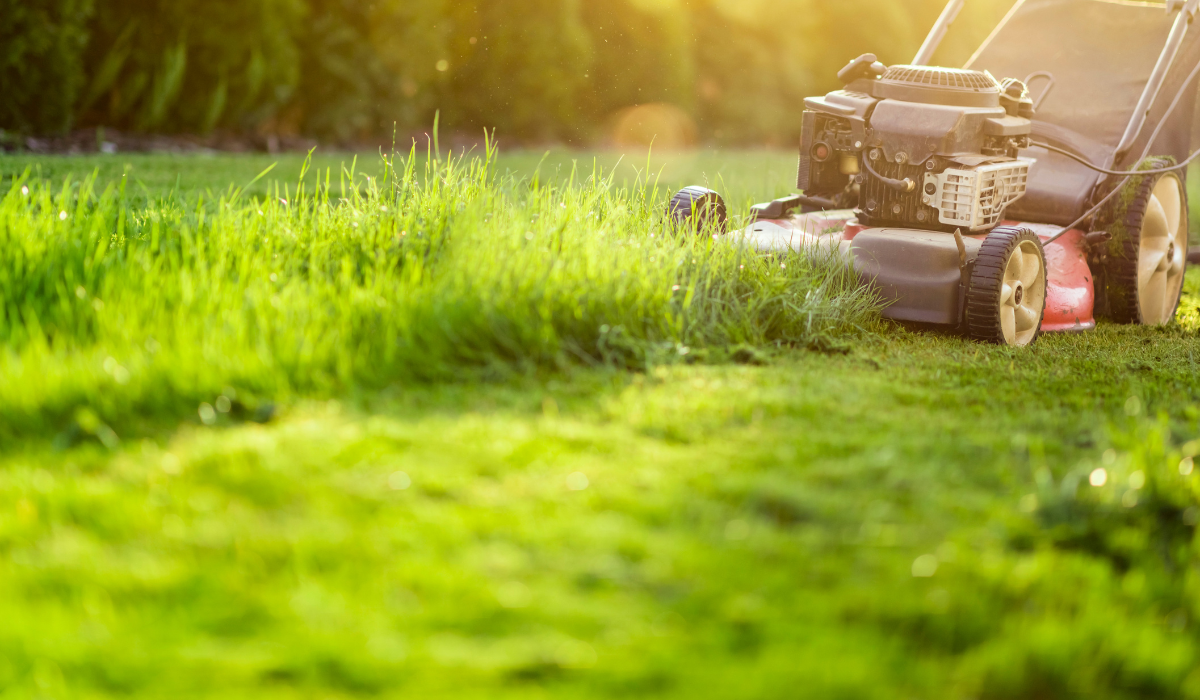Lawn mower maintenance - mower cutting long grass - image at lawn level