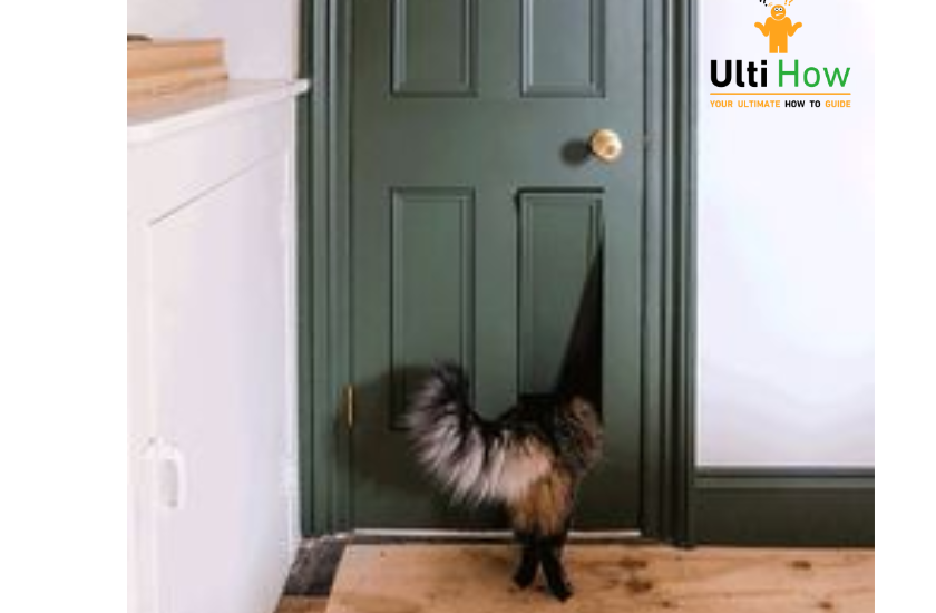 Constant door scratching issue  in post about How To Stop Your Cat from Scratching The Door