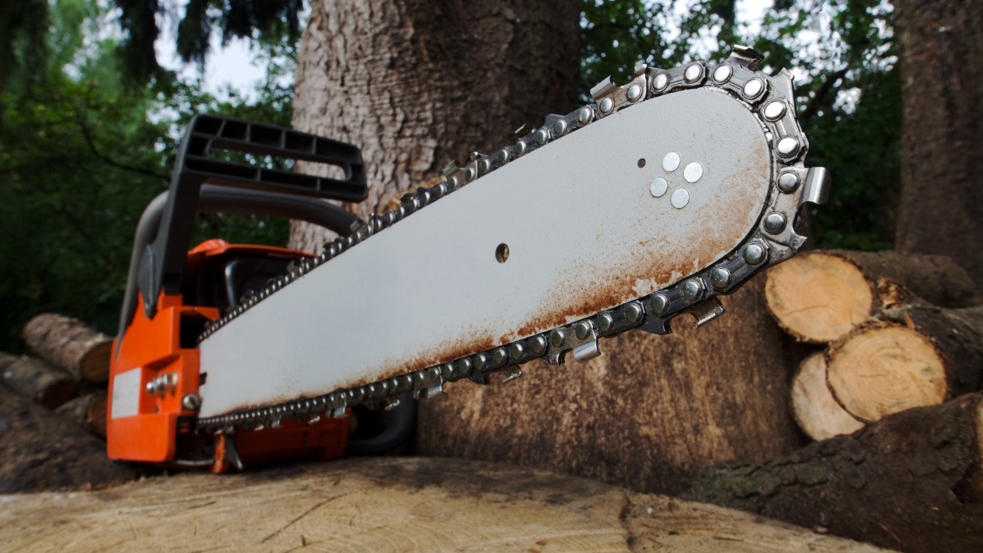 Chainsaws like this are frequent and affordable tools in most property owner's arsenals.