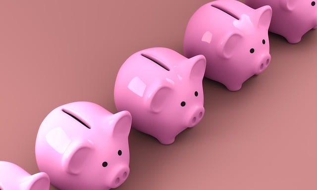 piggy, bank, money, finance, business, banking, currency, piggy bank, cash, pig, investment, wealth, savings, financial, coin, save, economy, pink, deposit, piggybank, account, retirement, dollar, invest, income, loan, investing, rich, profit, fund, safe, red business, red money, red finance, red bank, red company, red economy, red accounting, piggy bank, piggy bank, piggy bank, piggy bank, piggy bank