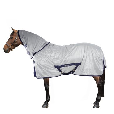 Horse wearing Bucas Freedom Fly Sheet