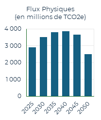 Flux physiques (en millions de TCO2e)