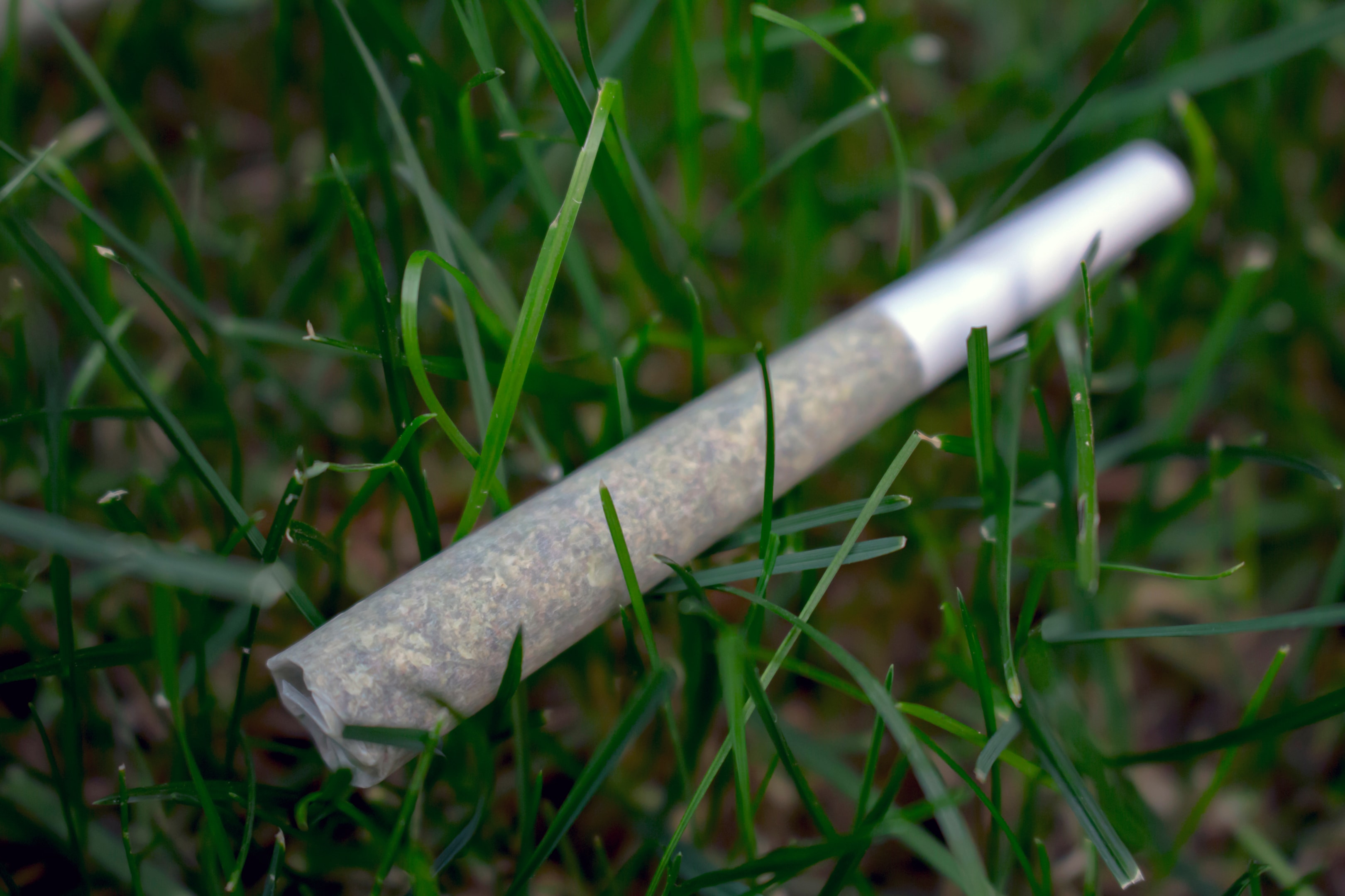 A Beginner’s Guide to Rolling the Perfect Joint With THCA Flower