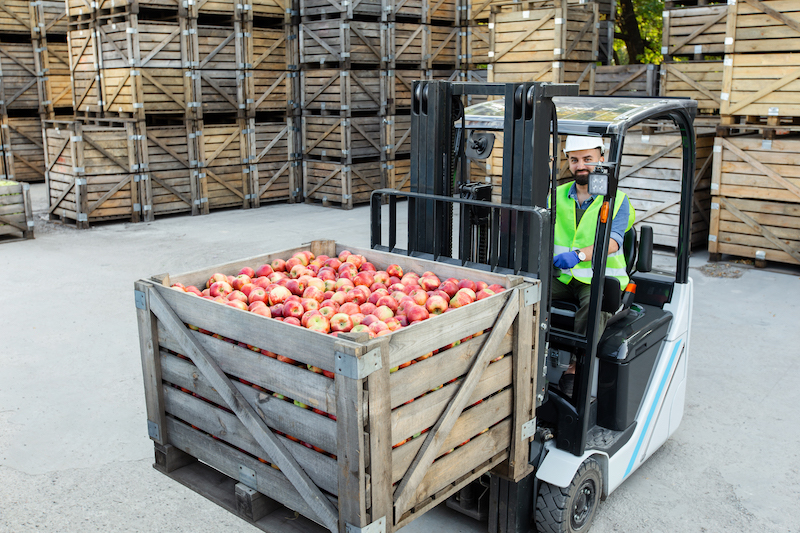 Transportation assistant in the Irish food industry.