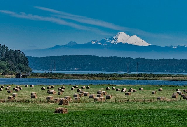 mount baker, whidbey island, washington state