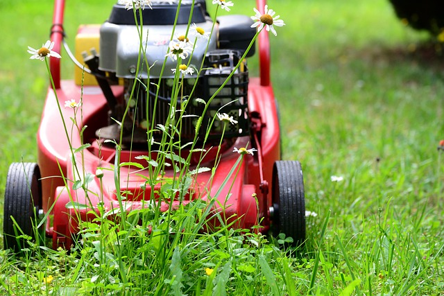lawn mower, mow, gardening