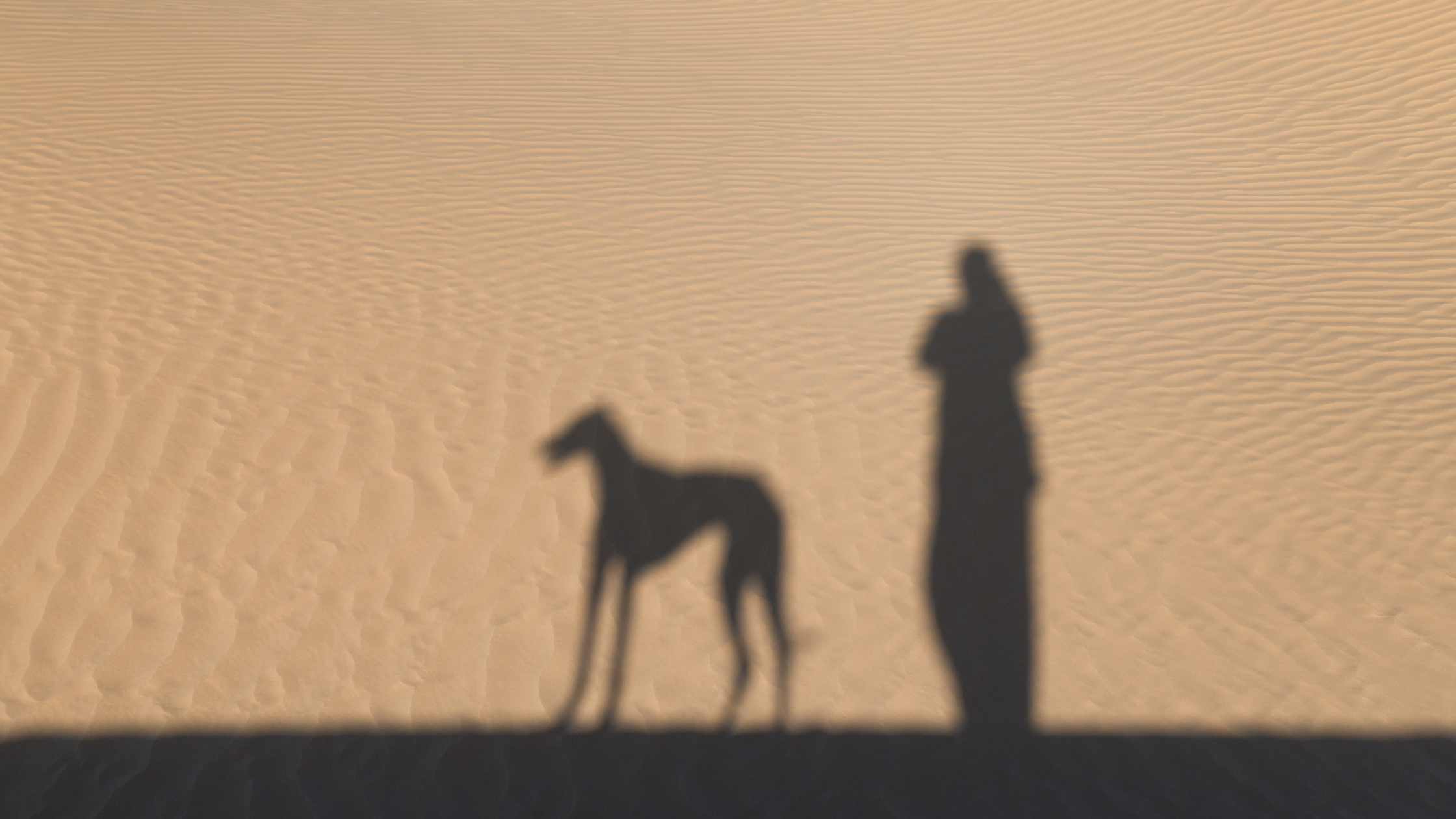 A silhouette of a Sloughi in the desert sun