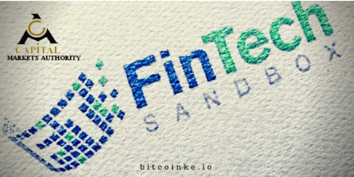 Fintech Sandbox is an accelerator that focuses on startups in the fintech and financial services sectors.