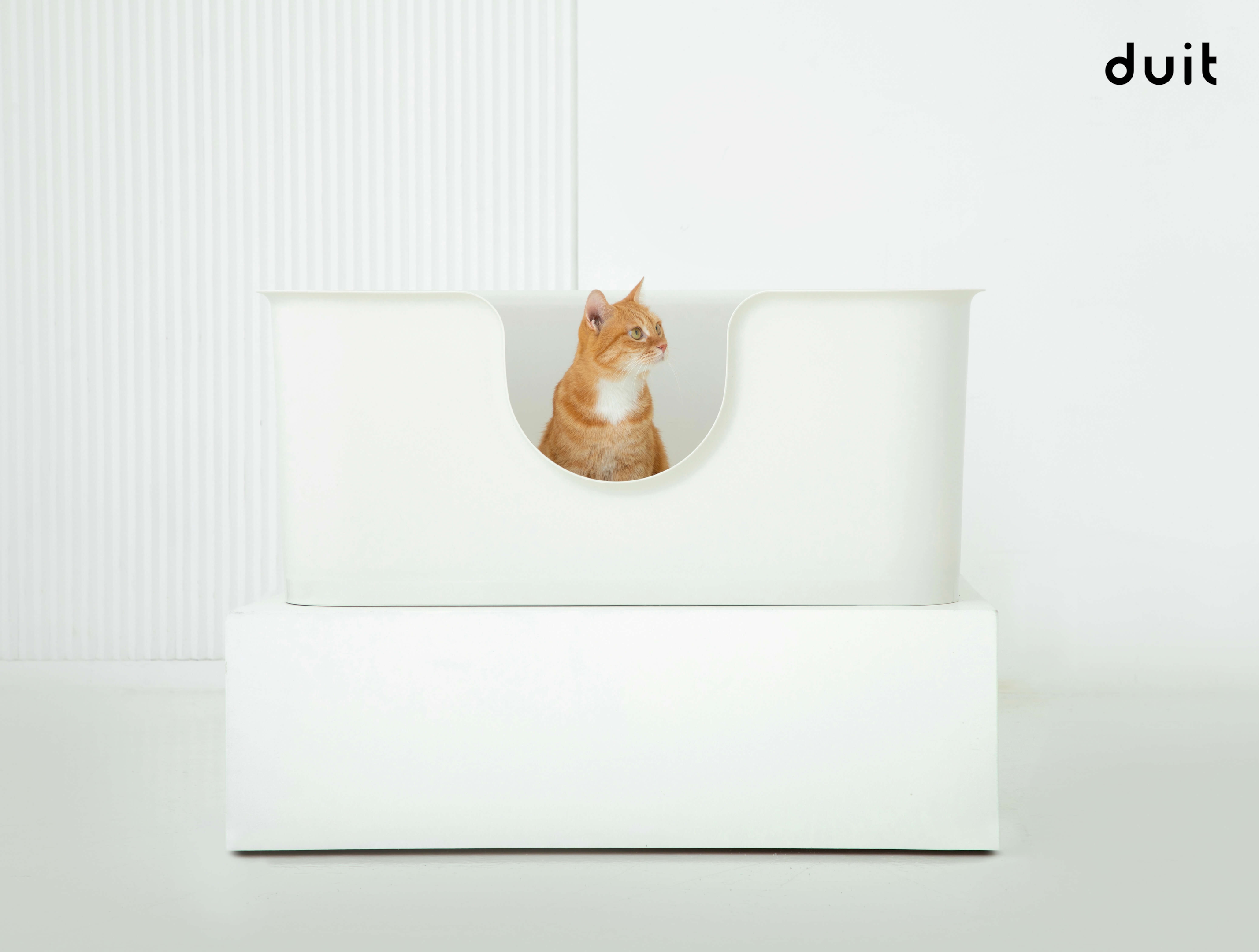 Orange cat sitting inside a white, wide, and rectangular shaped litter box.