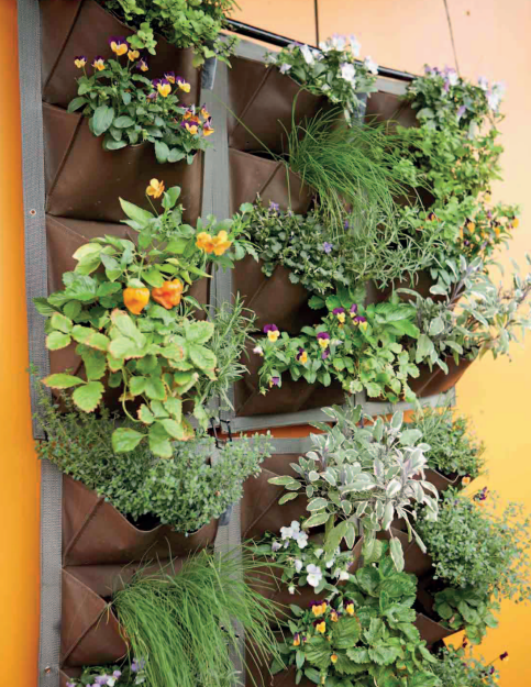 planted wall is great way to hang plants