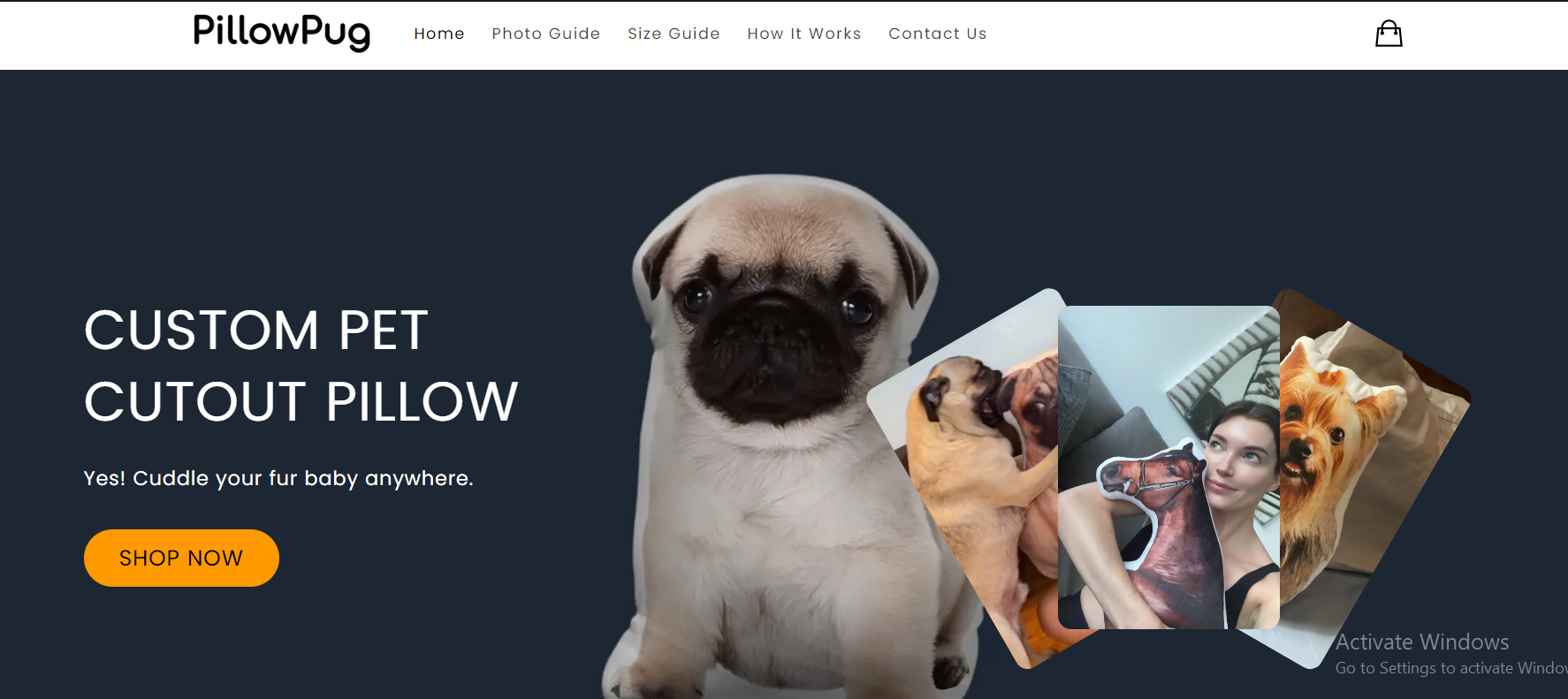 PillowPup offers personalized pillows featuring customers’ pet images, targeting pet lovers.