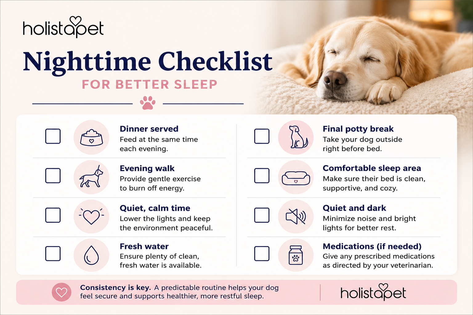 nighttime checklist for dogs