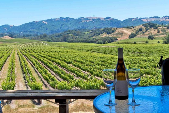 view of vineyard from table with bottle of wine and glasses