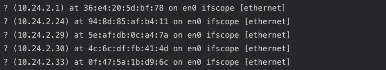 Example of an ARP command in Mac OS.